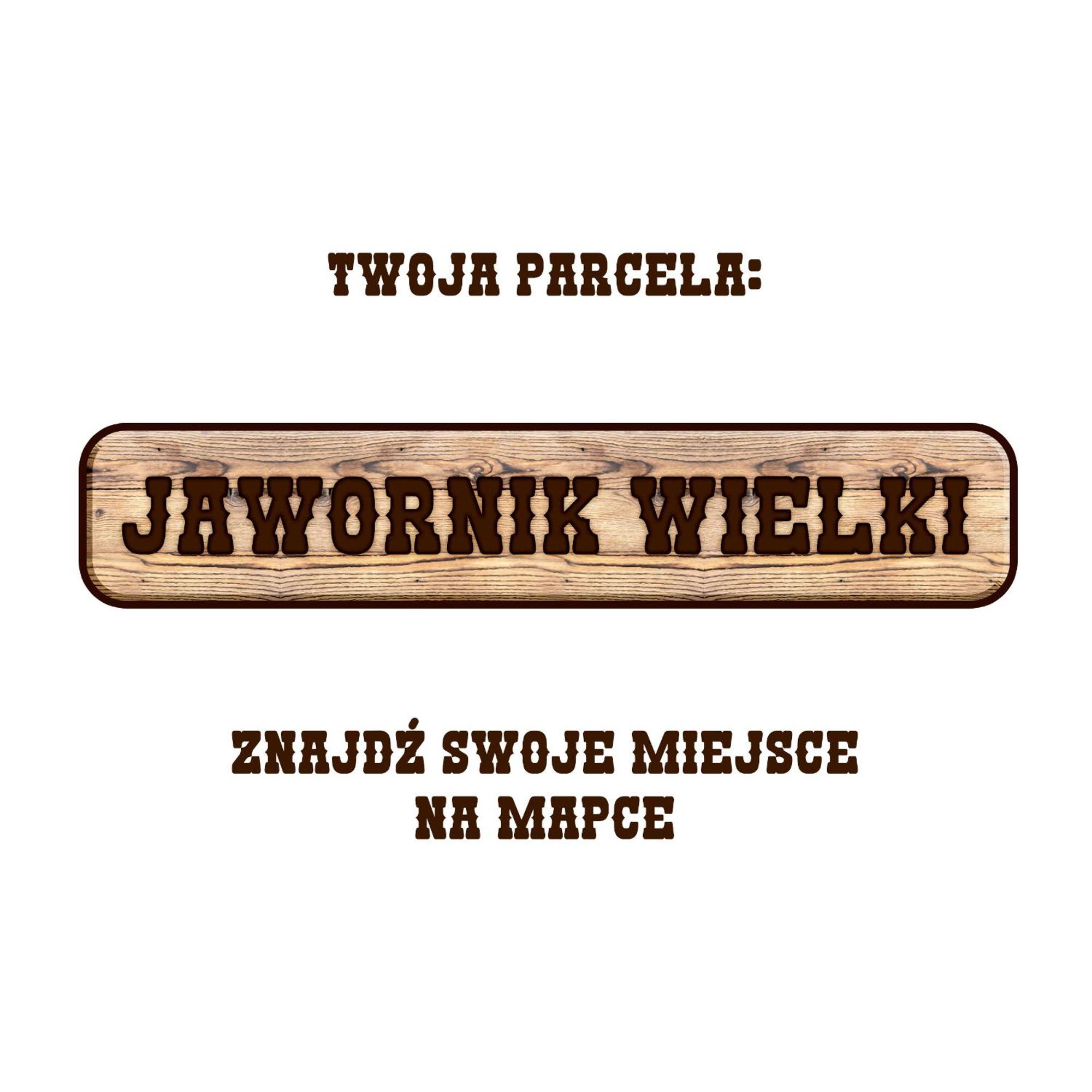 Gory Stolowe Camp -Miejsce Na Kamper, Przyczepe Lub Namiot Radkow Exterior foto